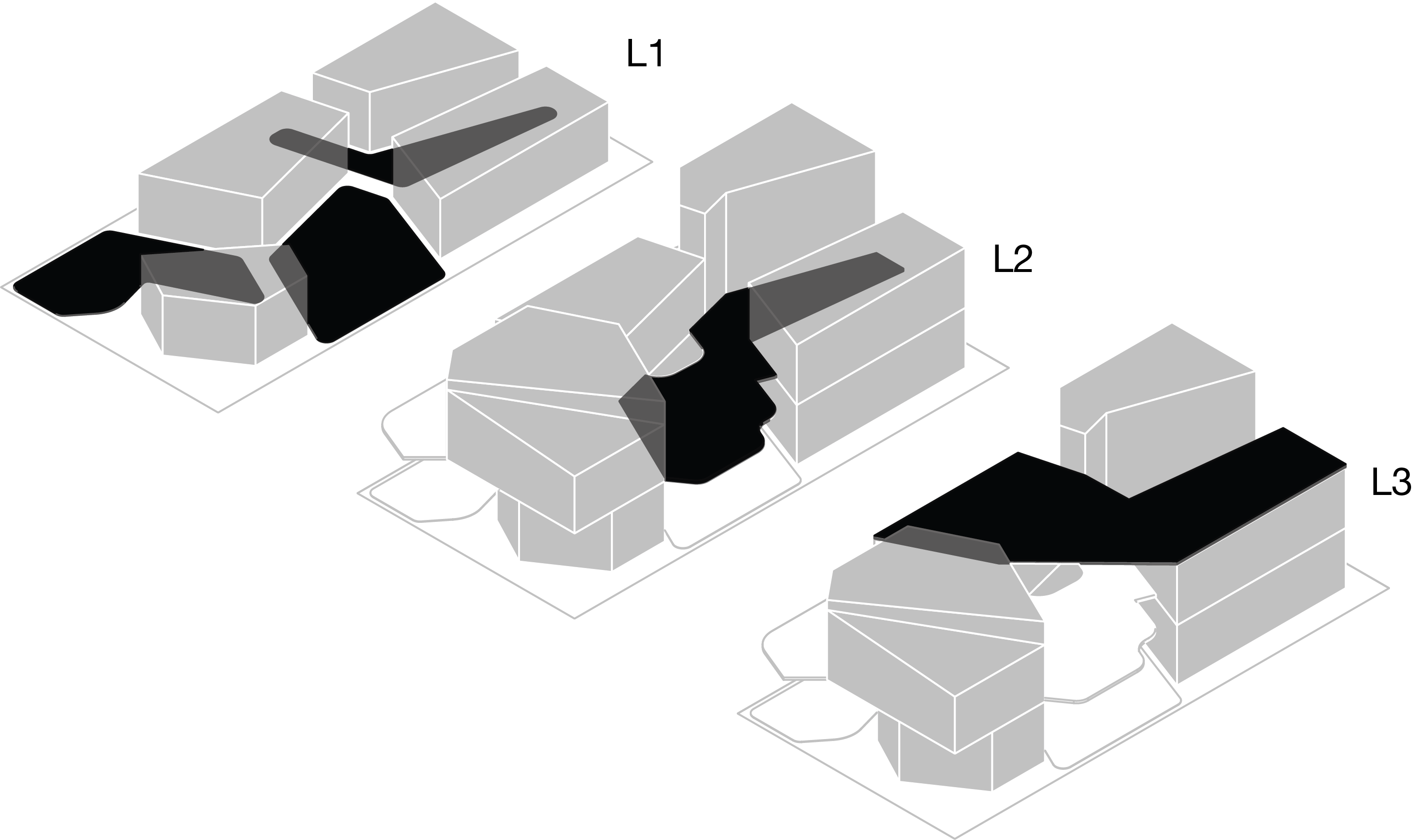 Massing and shared space diagram of THE SPACE BETWEEN collective housing